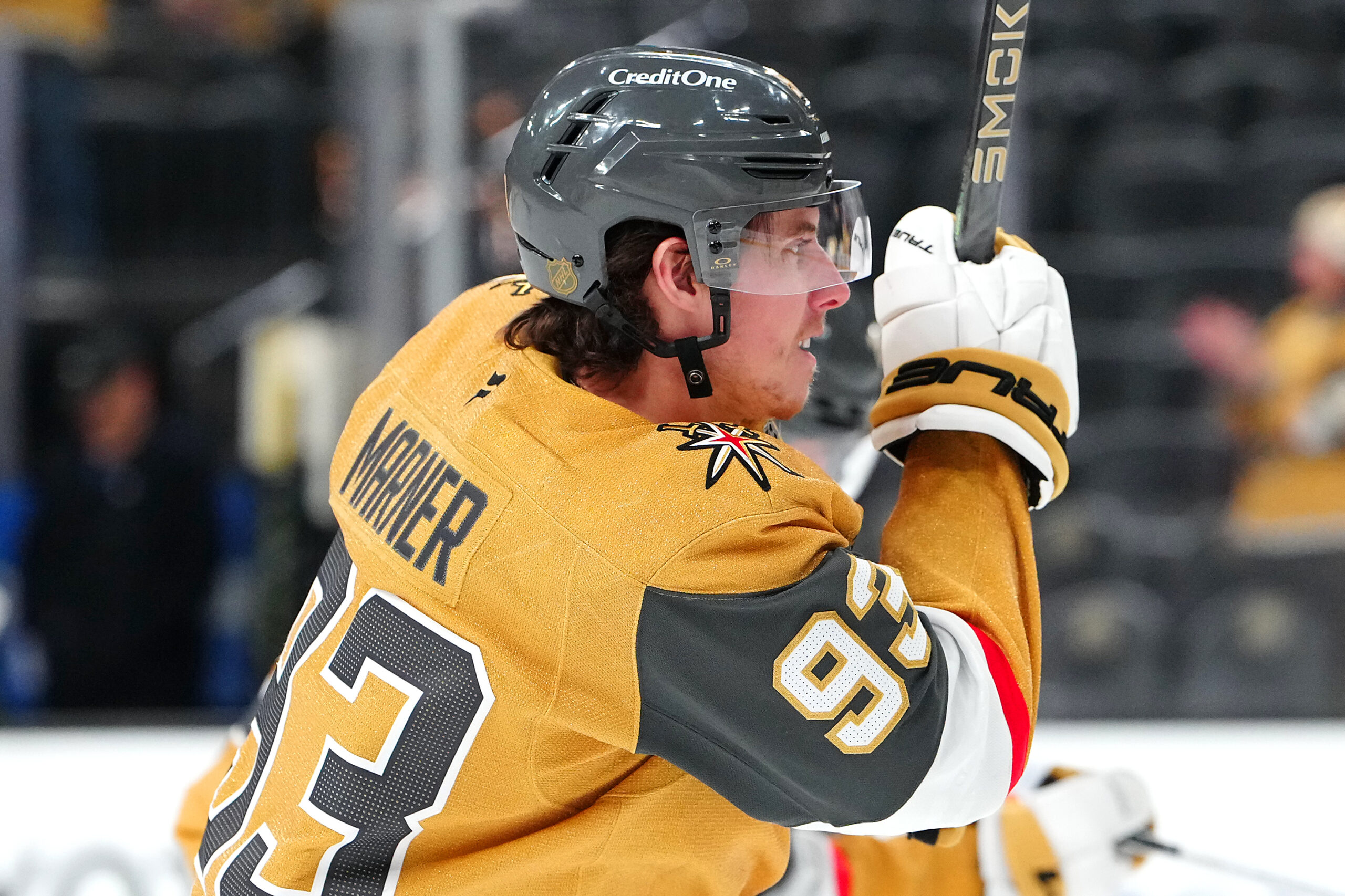 NHL冰球：马尔纳复仇之战，金骑士主场优势深度解析