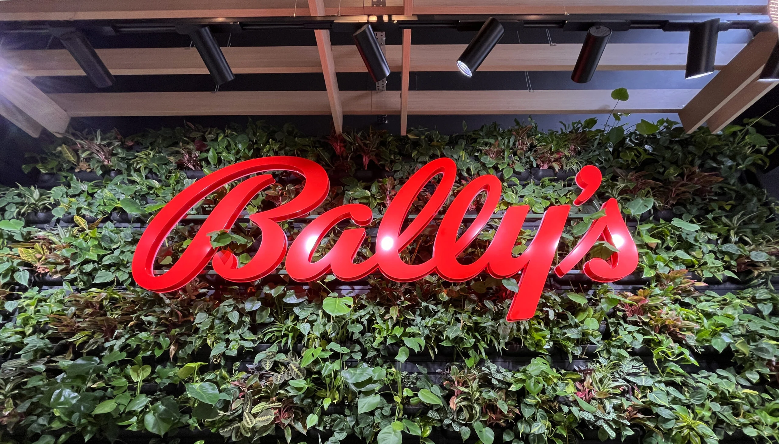 Bally's财报：债务危机引爆股价暴跌，三大项目前途未卜