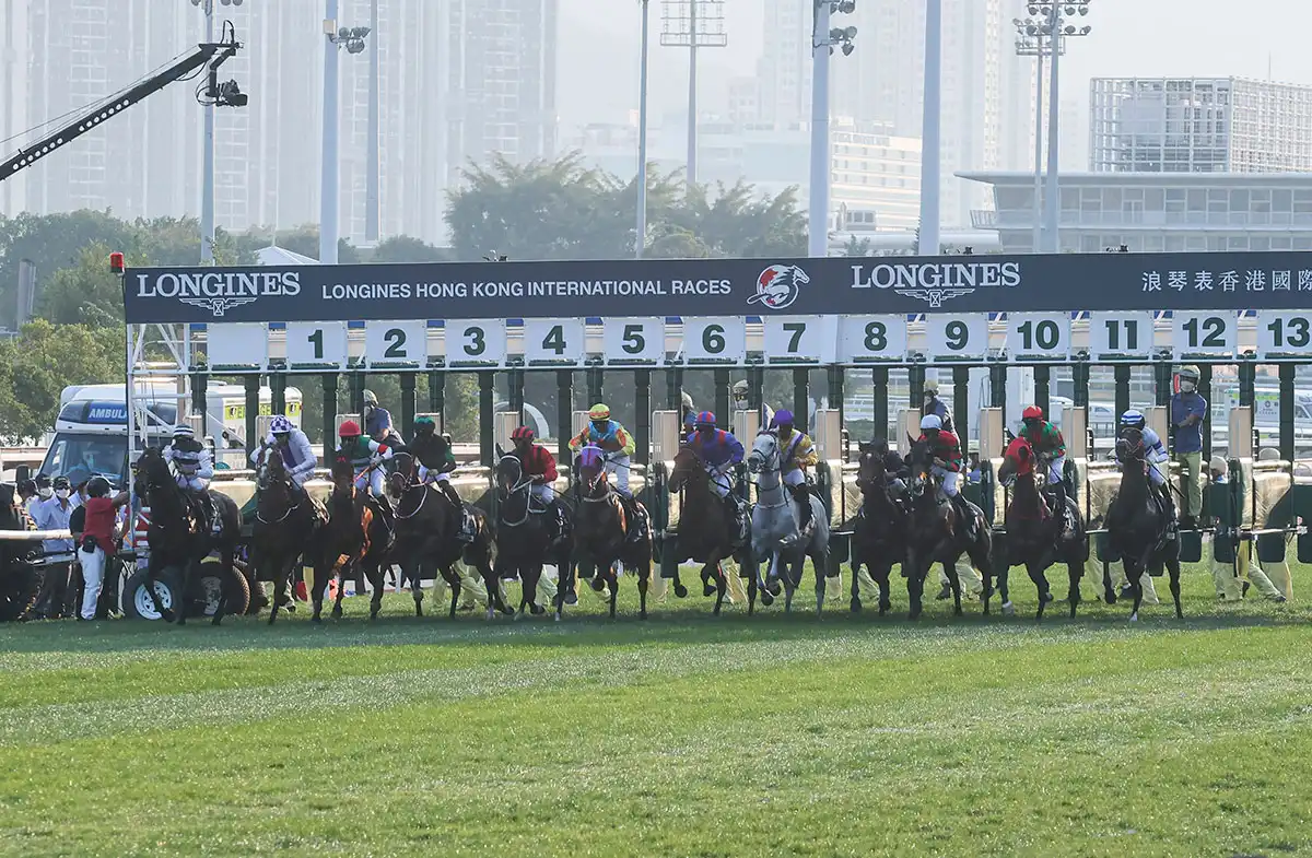 国际联汇再创佳绩：香港赛马会世界汇合彩池投注额飙升近20%