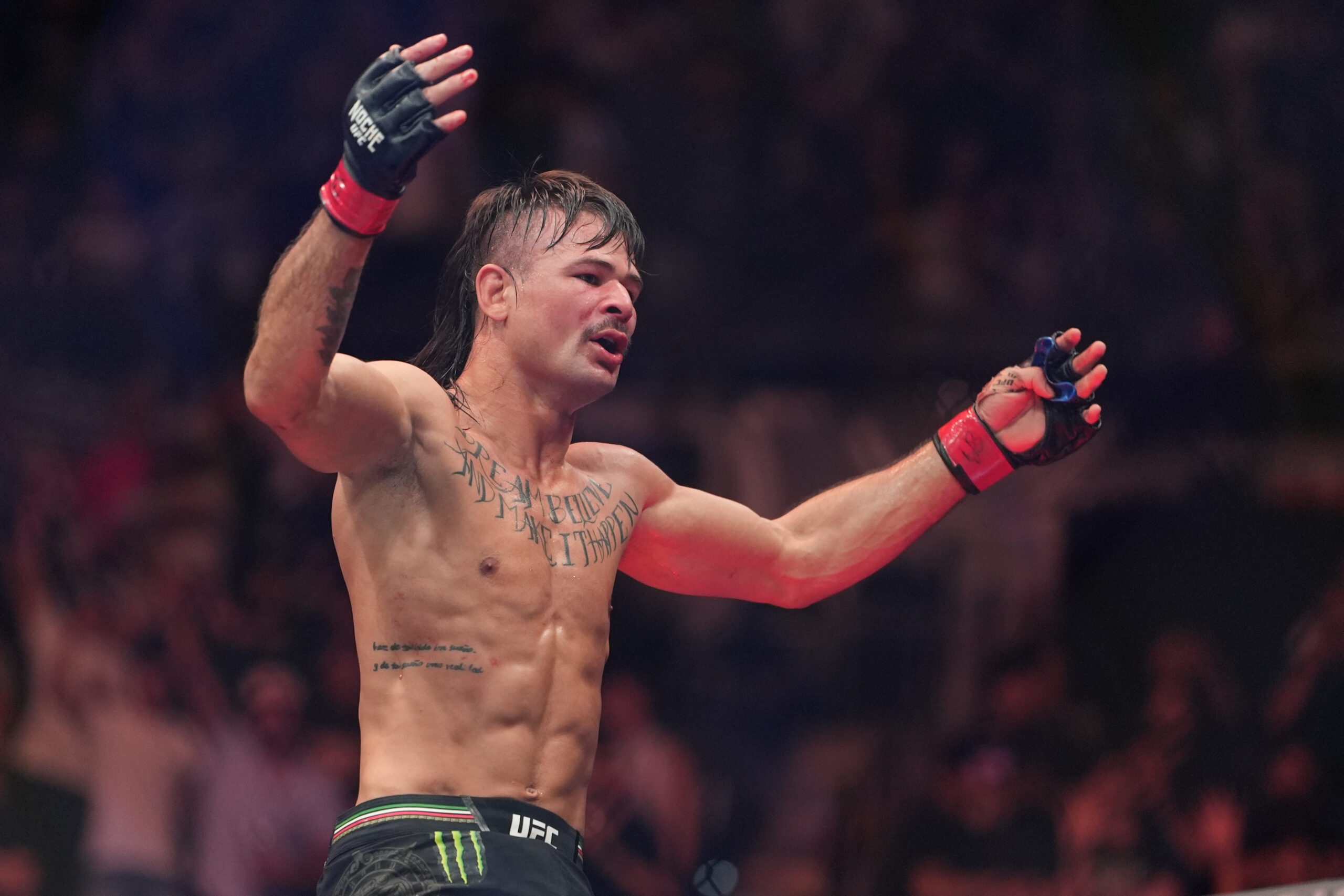 UFC 325：沃坎诺夫斯基vs洛佩斯二番战深度分析与高风险投注预测