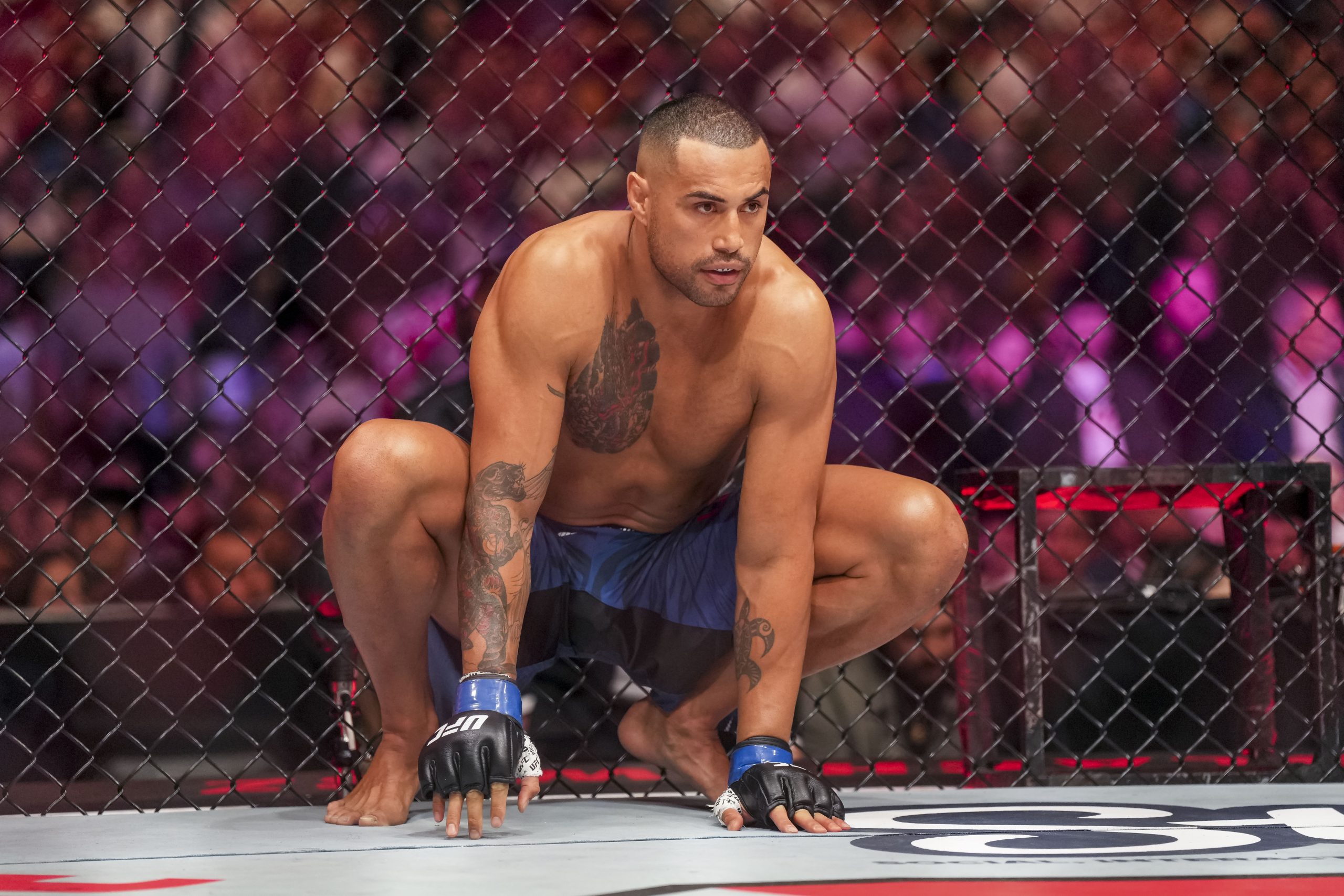 UFC 327头条主赛深度解析：职业玩家为何力挺乌尔伯格？