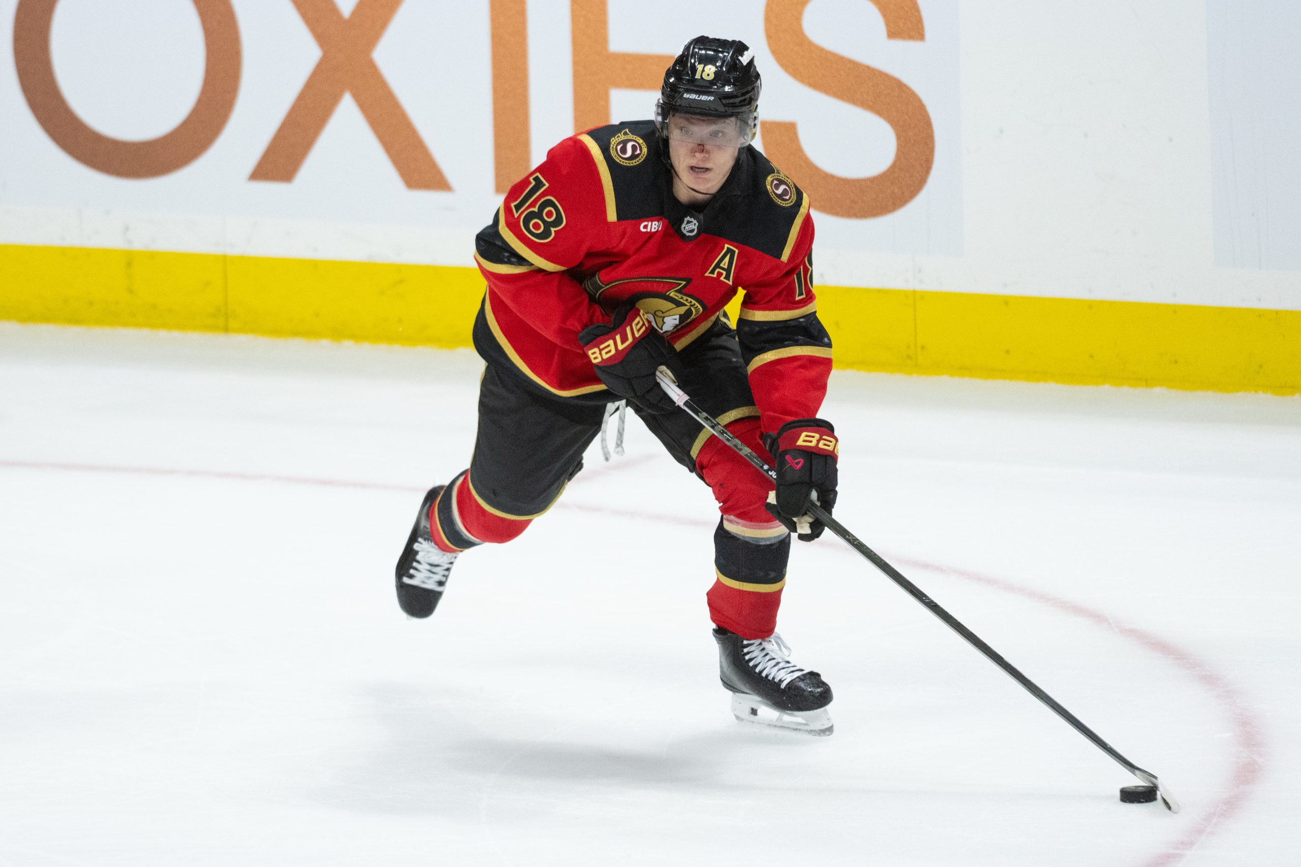 NHL季后赛G1：参议员vs飓风深度解析与投注策略