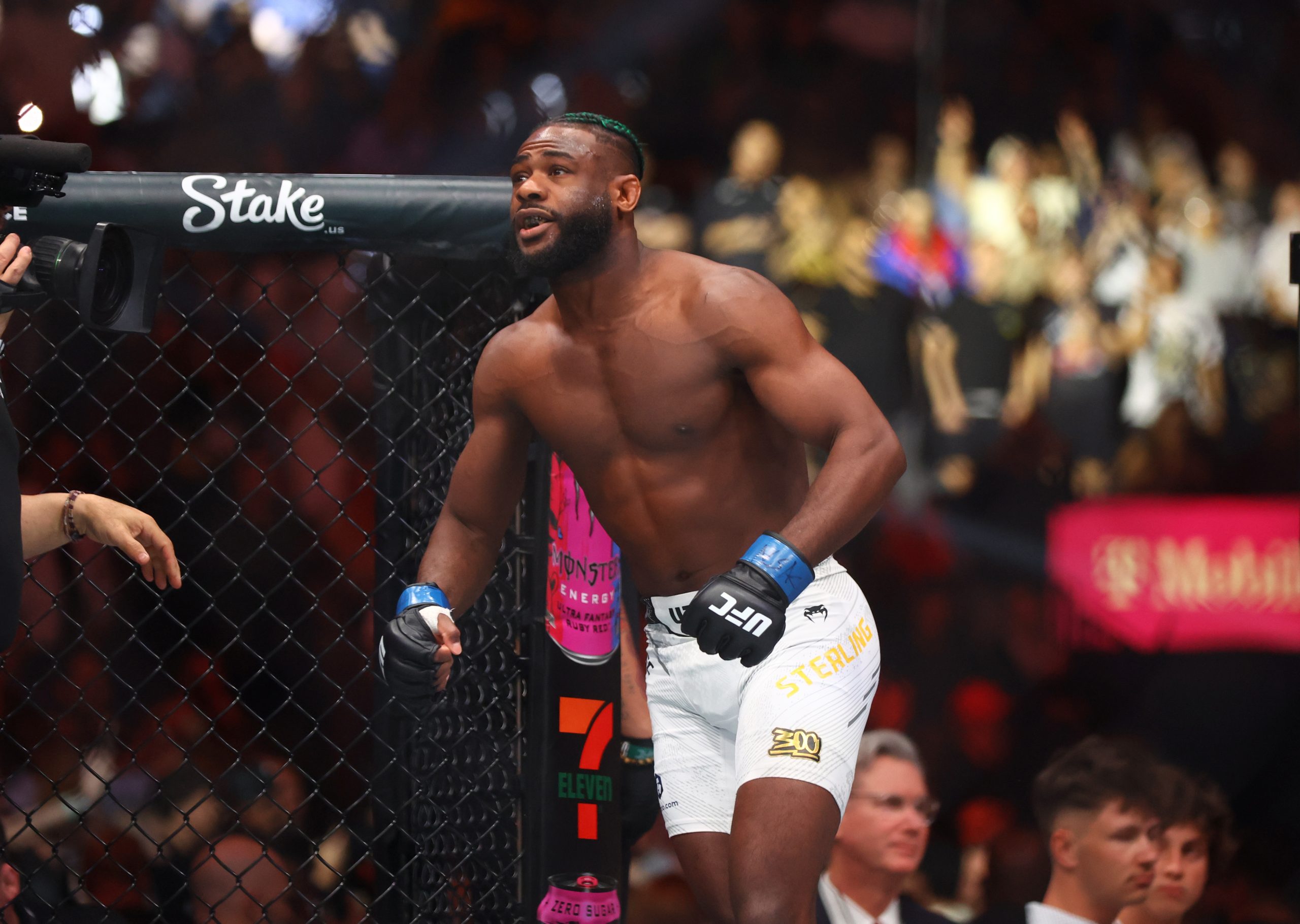UFC格斗之夜：斯特林VS扎拉尔深度解析，专家独家投注指南