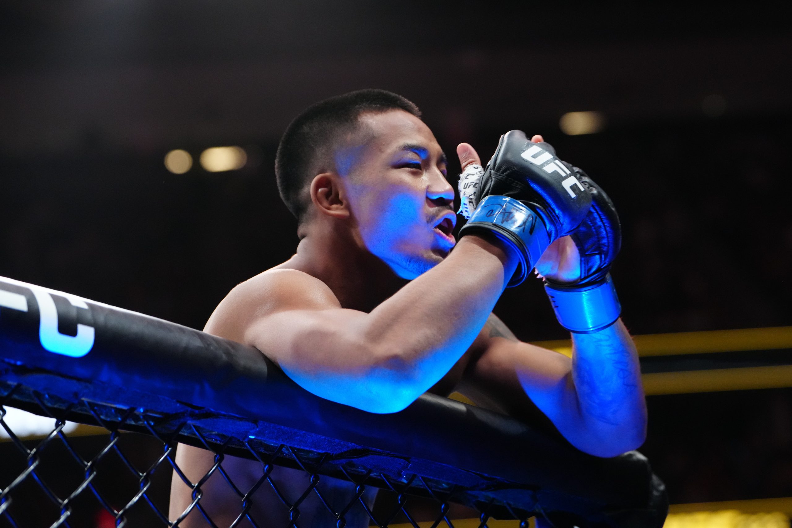 UFC 328赛前赔率异动深度解析：资金流向揭示投注玄机