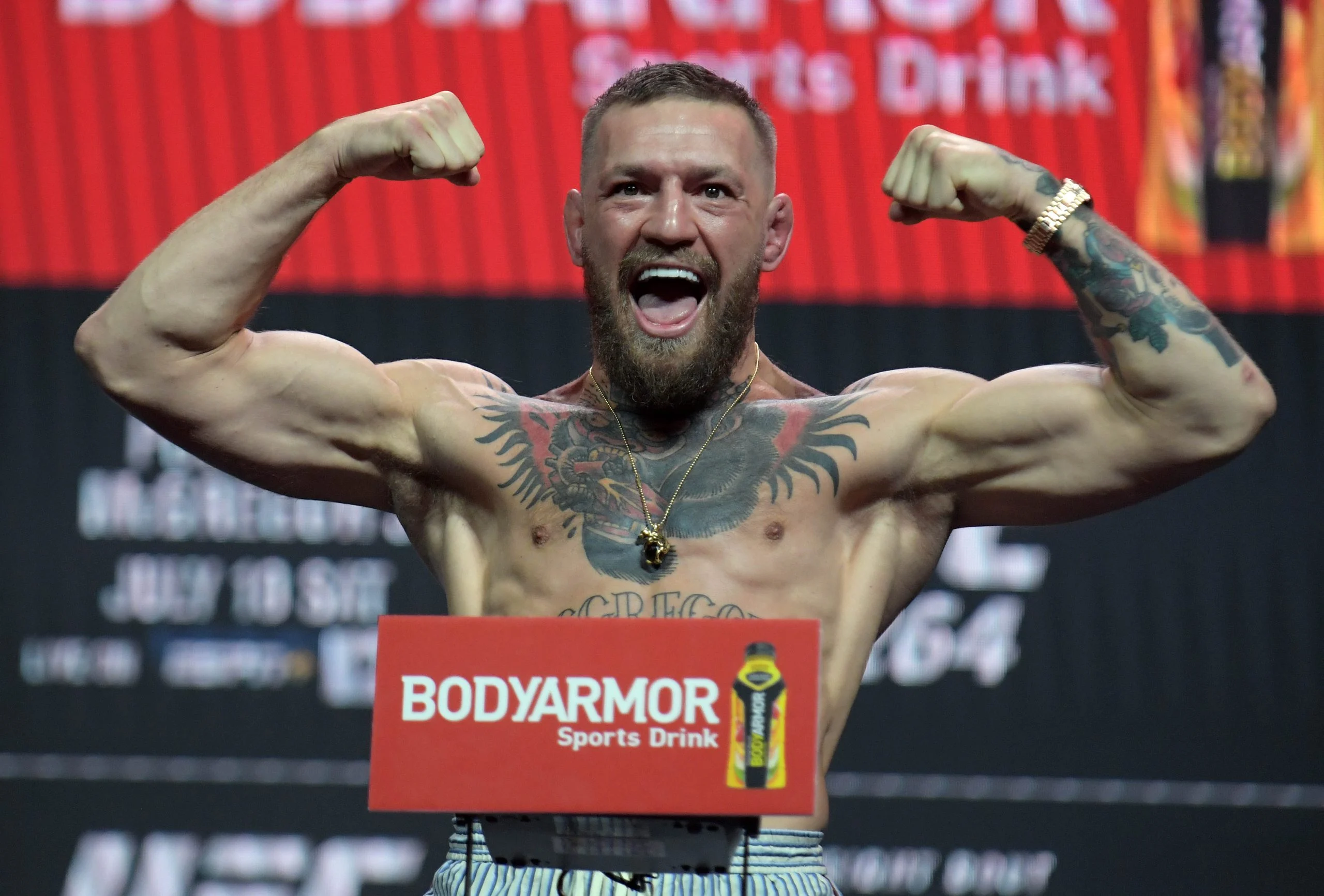麦格雷戈 vs 霍洛威二番战：UFC 329赔率深度解析与前景预测