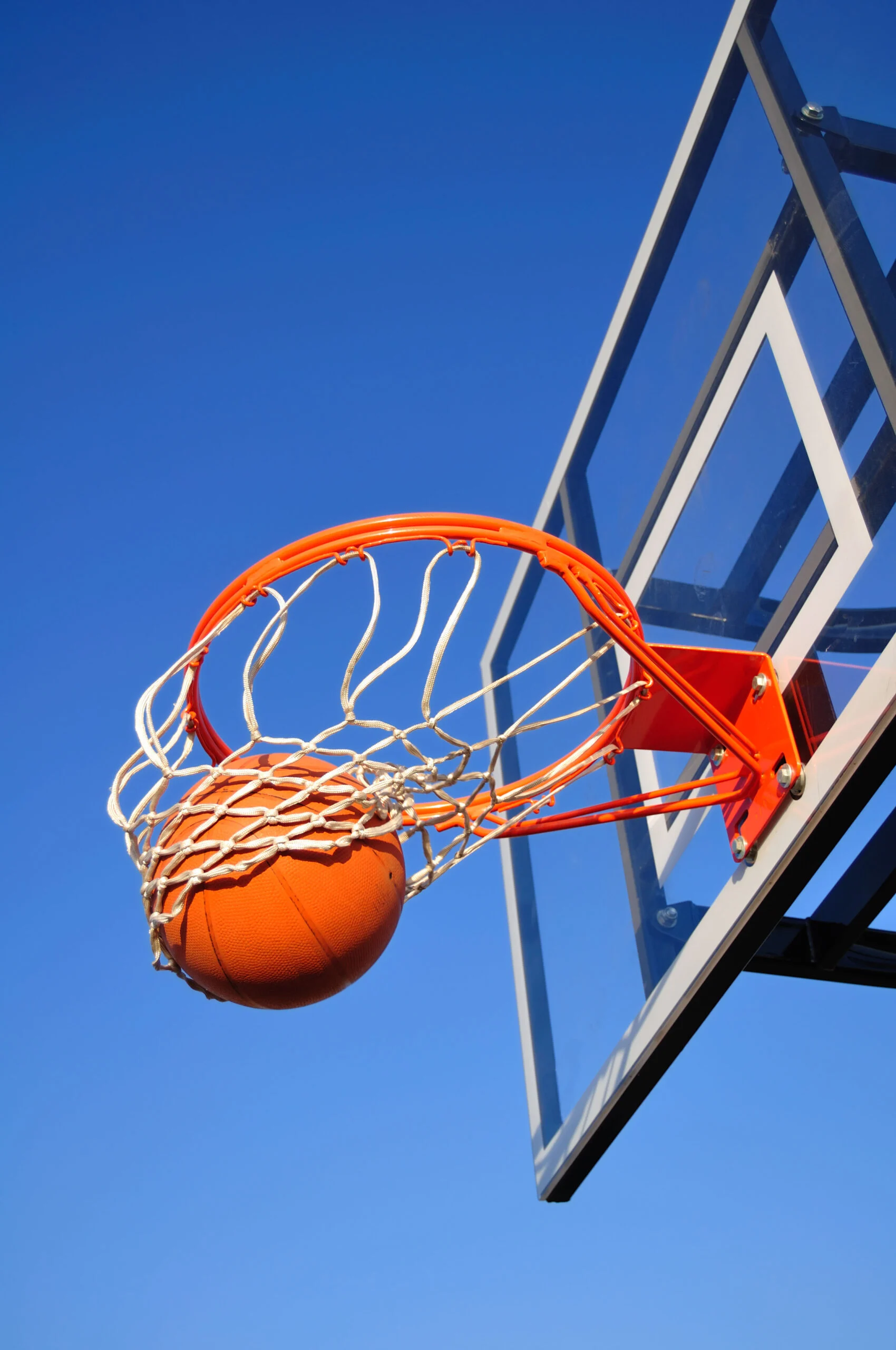 NBA球迷文化揭秘：哪个球队的粉丝最“脏”？
