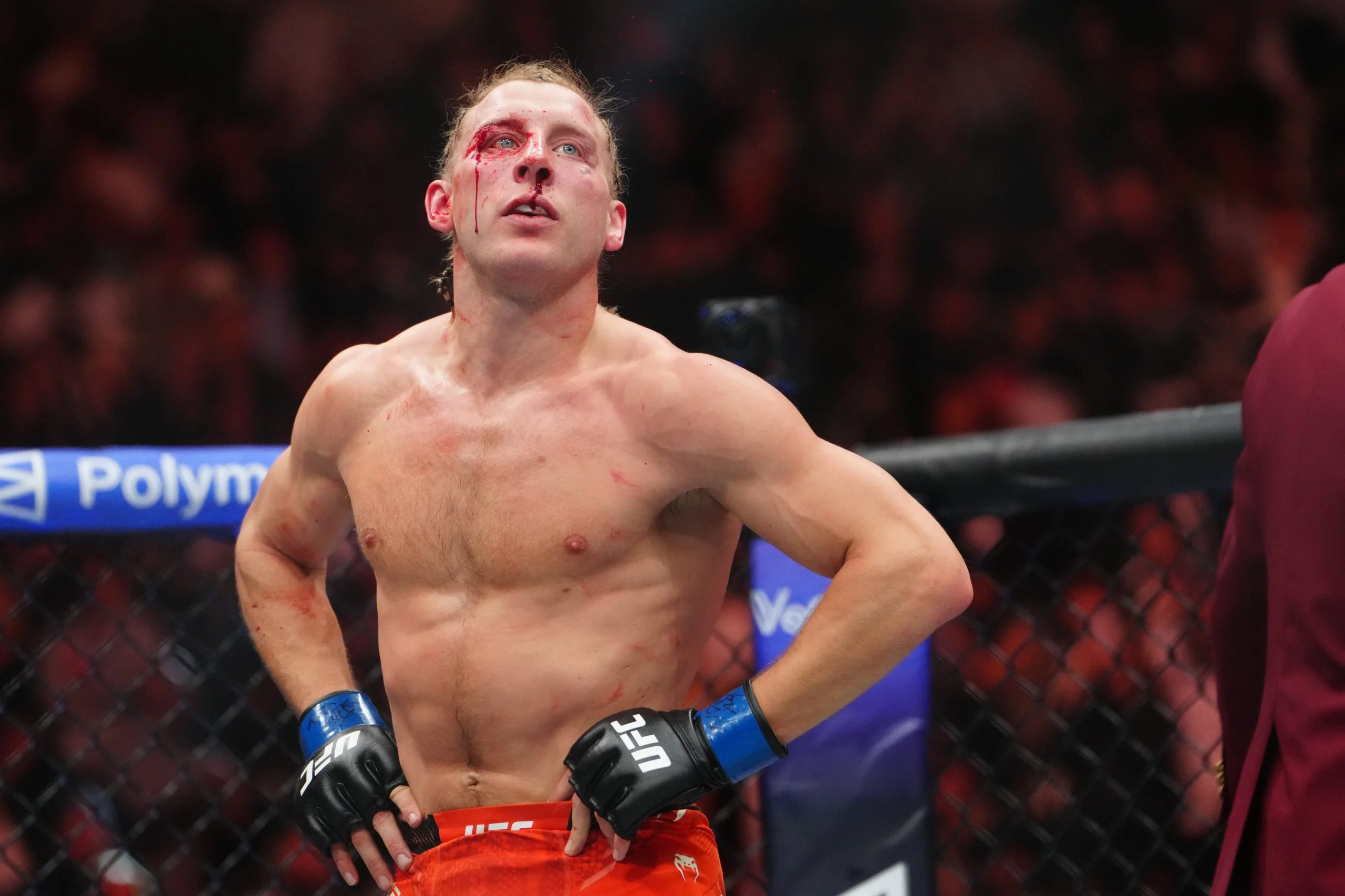 UFC 329：麦格雷戈五年回归战霍洛威，赔率深度解析！