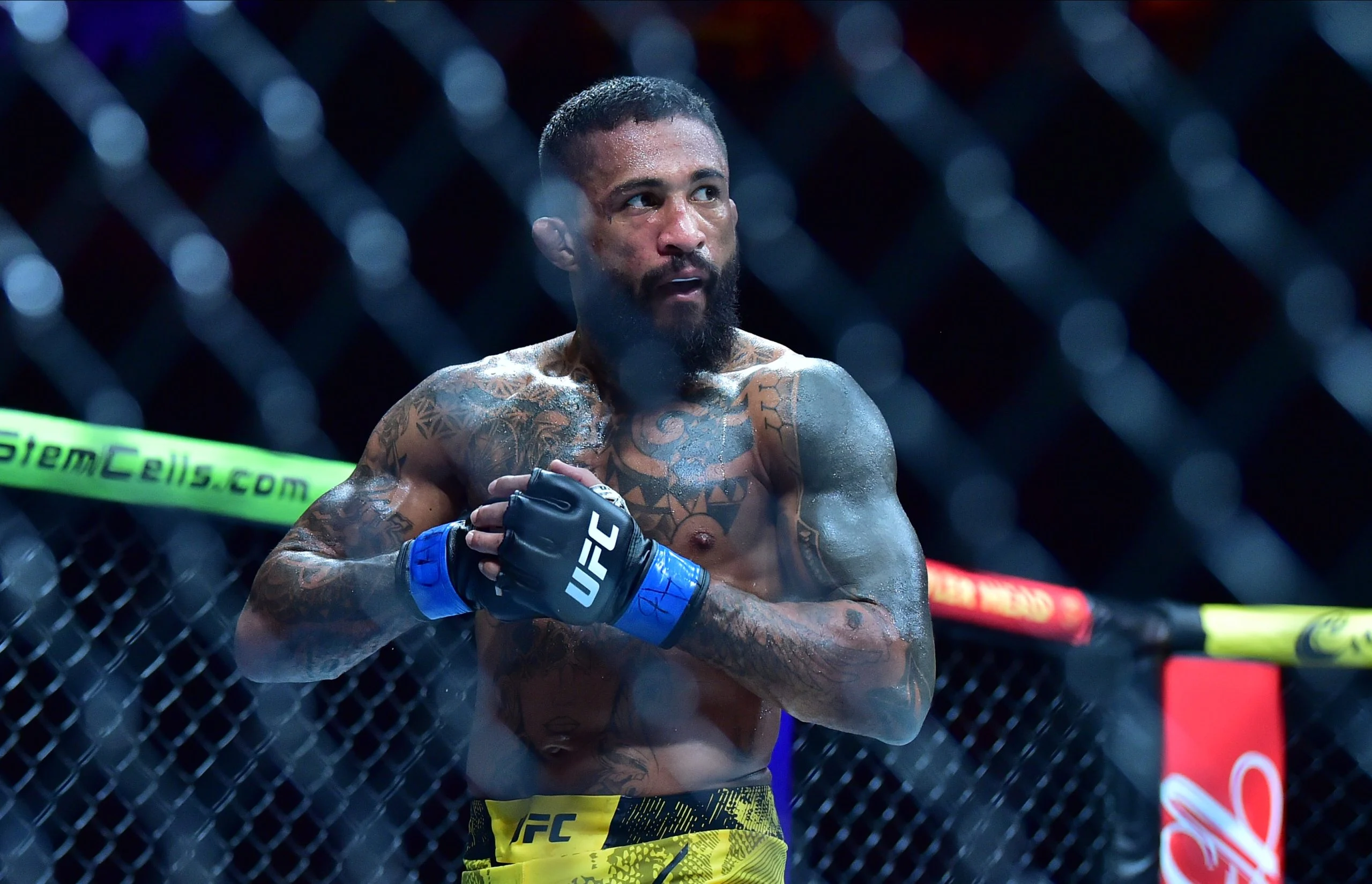 UFC 331垫场赛：专家深度分析与投注策略