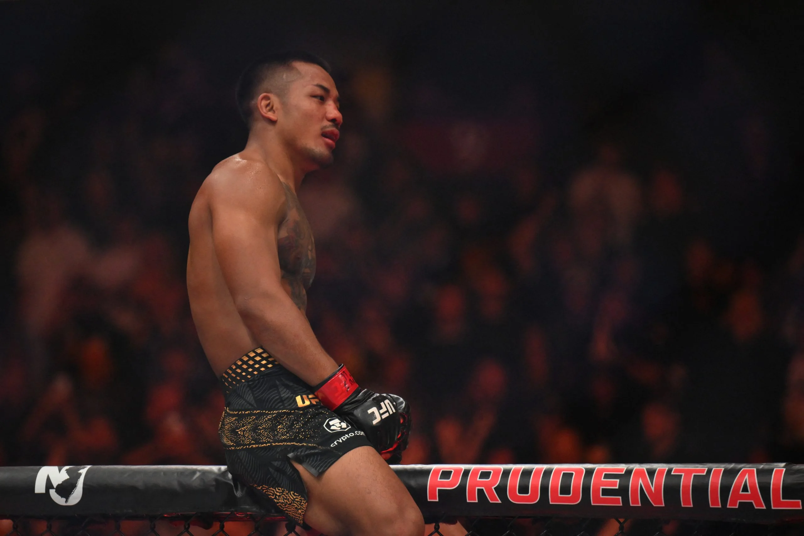 UFC 331主赛前瞻:范 vs 潘托哈二番战,冠军赔率深度解析 UFC 331主赛前瞻:范 vs 潘托哈二番战,冠军赔率深度解析