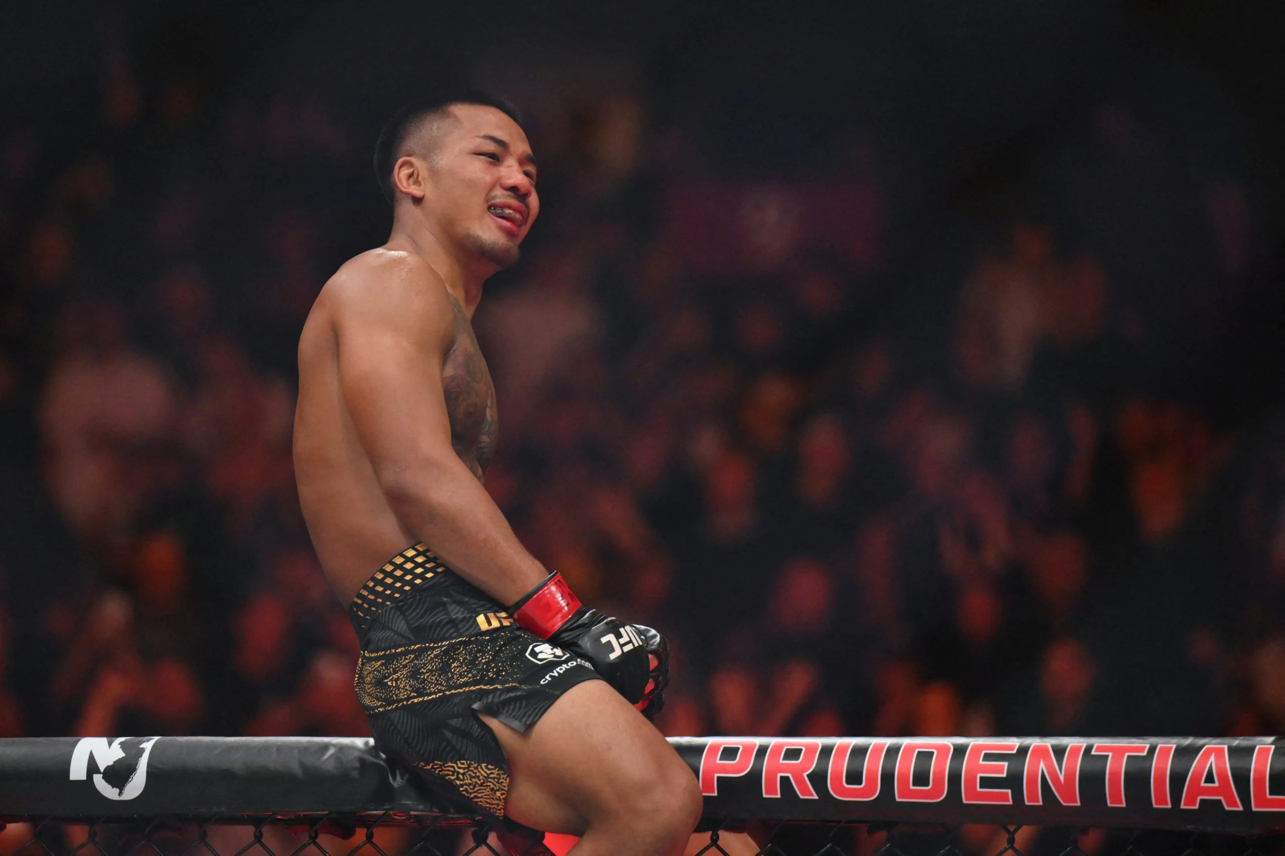 UFC 331头条主赛:范 vs 潘托亚二番战深度分析与投注指南 UFC 331头条主赛:范 vs 潘托亚二番战深度分析与投注指南