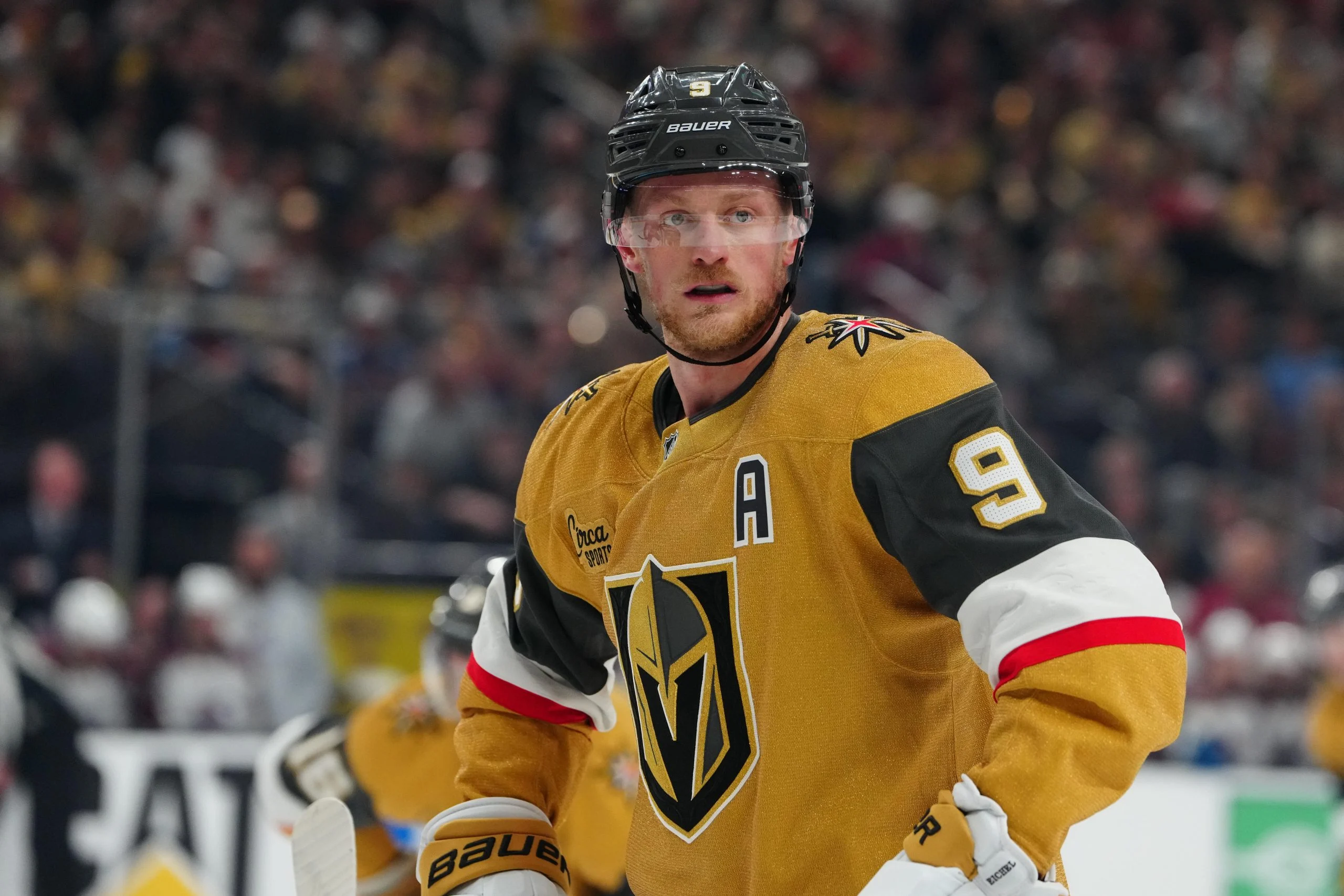 NHL揭幕战:金骑士主场迎战黑鹰,深度分析与投注指南 NHL揭幕战:金骑士主场迎战黑鹰,深度分析与投注指南