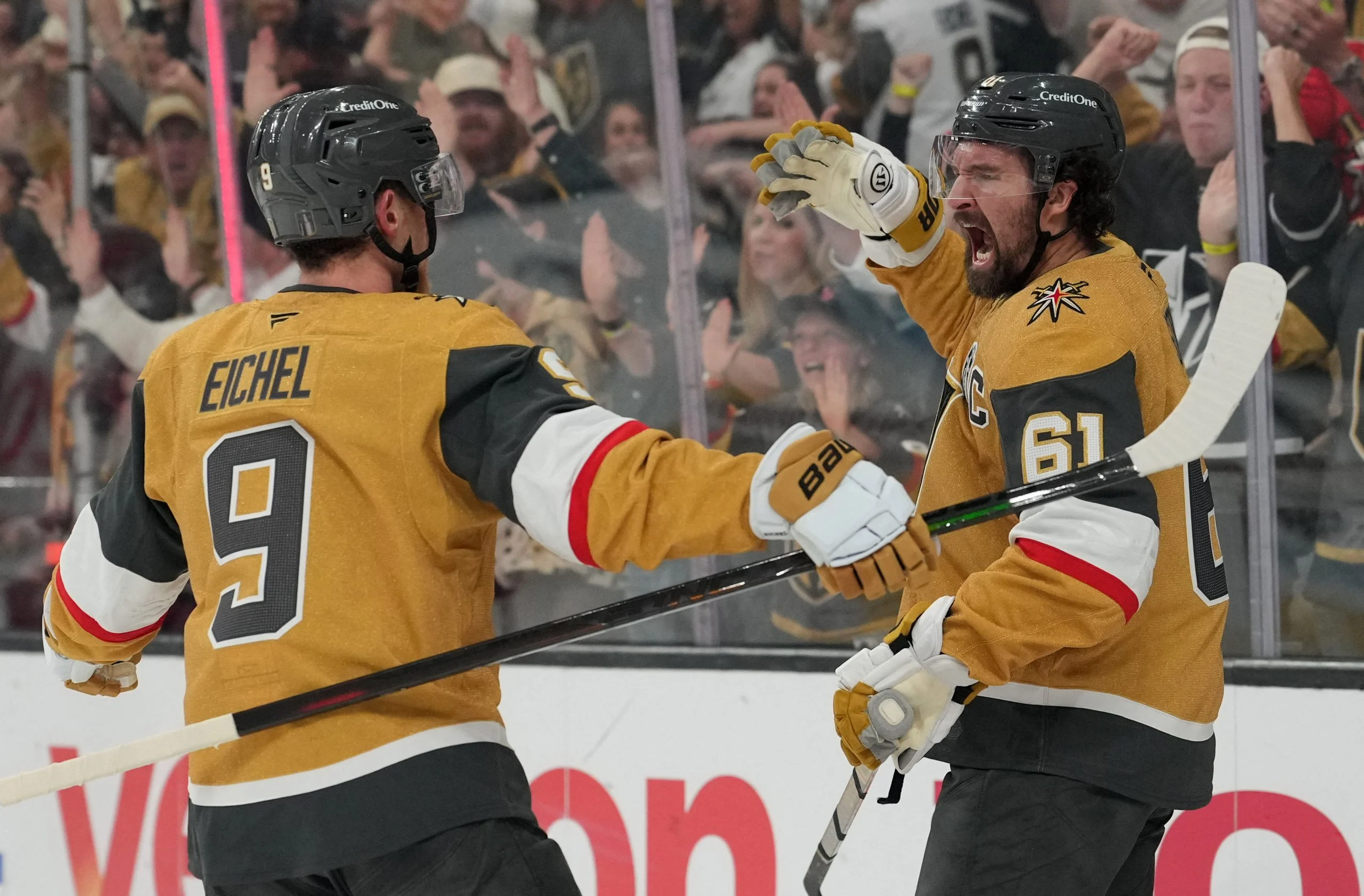 NHL冰球:金骑士主场迎战小鸭,深度解析与投注指南 NHL冰球:金骑士主场迎战小鸭,深度解析与投注指南