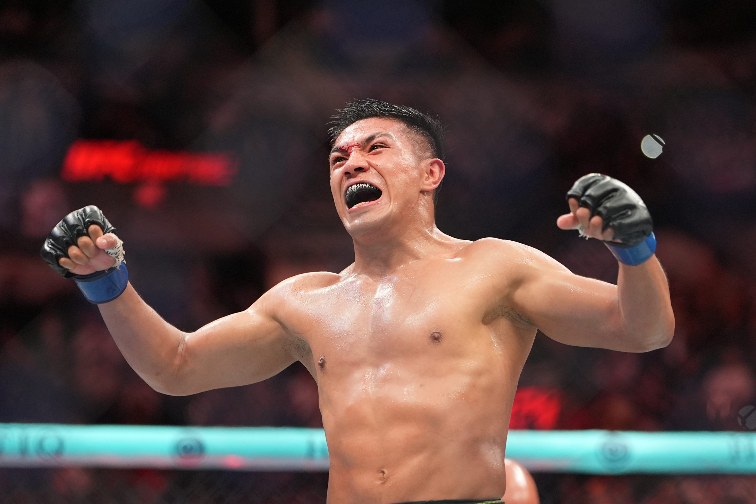 UFC墨西哥城:马丁内斯 vs 维拉深度分析与精准投注 UFC墨西哥城:马丁内斯 vs 维拉深度分析与精准投注