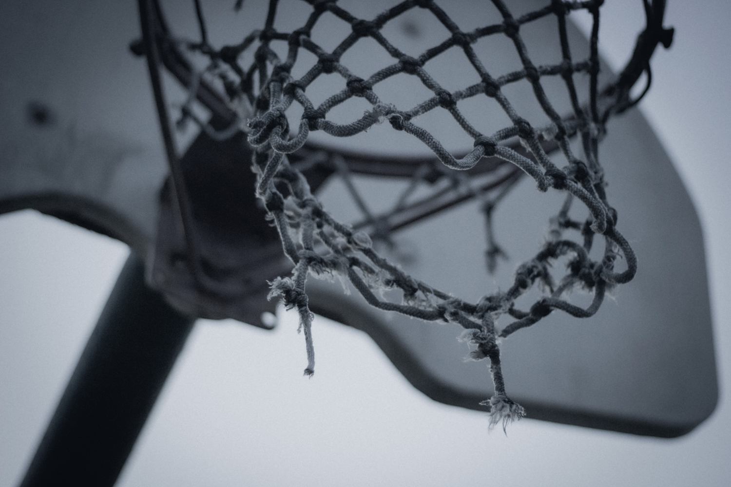 拉斯维加斯钻石体育馆:NBA扩军新宠,未来主场呼之欲出 拉斯维加斯钻石体育馆:NBA扩军新宠,未来主场呼之欲出