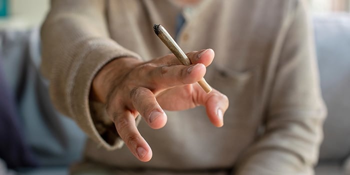 拉斯维加斯大麻禁令:旅游业与博彩业的隐形危机 拉斯维加斯大麻禁令:旅游业与博彩业的隐形危机